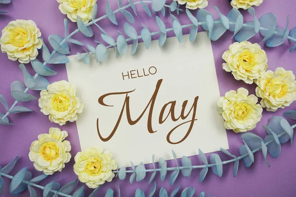 こんにちは5月タイポグラフィのテキストと花は紫の背景に飾る — ストック写真