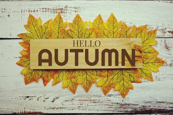 Hello Autumn Text Wooden Planks Decorated Maple Leaves Wooden Background — Stock Photo, Image