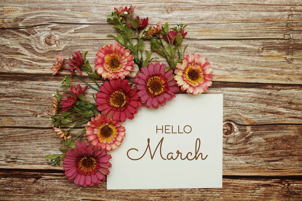 Мартовская типография Hello с цветами на деревянном фоне