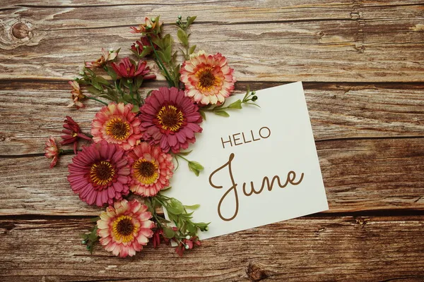 こんにちは6月タイポグラフィのテキストと花の木の背景 — ストック写真