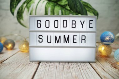 Elveda Monstera 'nın ayrıldığı ışıklı kutuda yaz kelimesi ve ahşap arka planda LED pamuk topları süslemesi