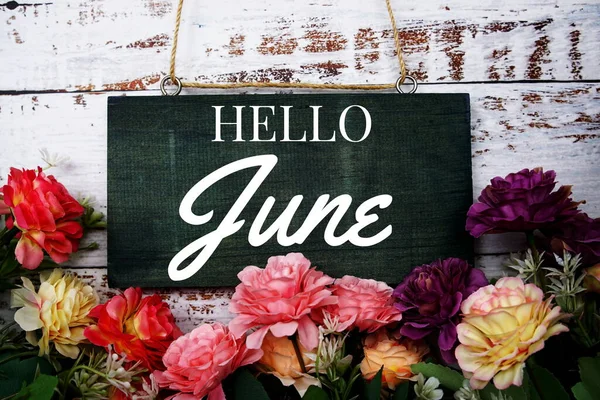 Hello June Tipografie Text Decora Flori Fundal Din Lemn — Fotografie, imagine de stoc