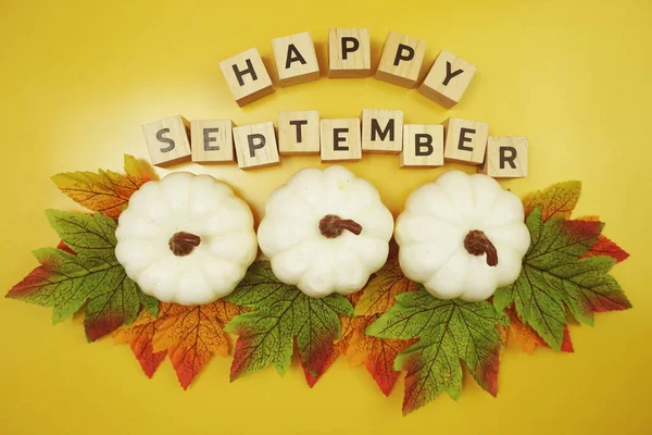Joyeux Septembre Lettre Alphabet Avec Citrouille Feuilles Érable Décoration Sur — Photo