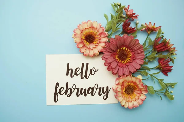 Olá Fevereiro Tipografia Texto Com Flores Margarida Fundo Azul — Fotografia de Stock