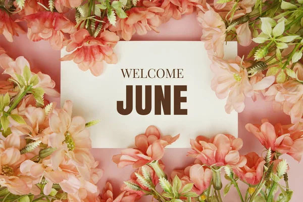 ようこそピンクの背景に花のフレームと6月タイポグラフィのテキスト — ストック写真