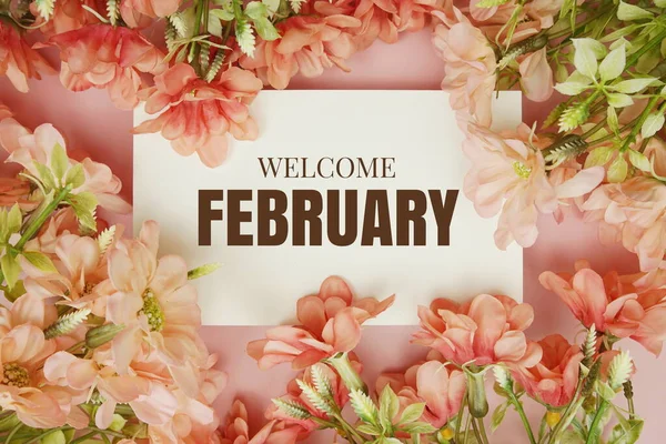 Bem Vindo Fevereiro Tipografia Texto Com Moldura Flores Fundo Rosa — Fotografia de Stock
