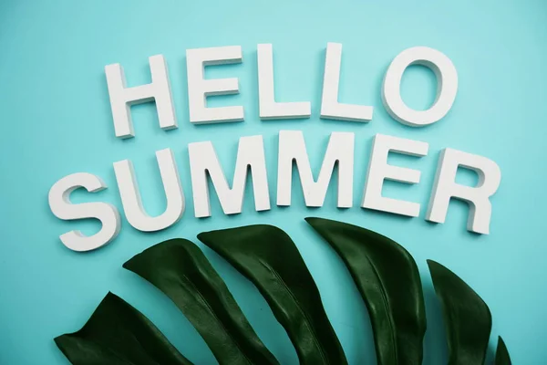 Буквы Hello Summer Листьями Чудовища Синем Фоне — стоковое фото