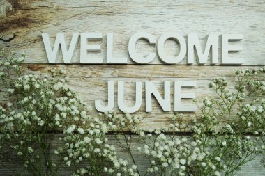 Hoş geldiniz Haziran alfabesi harfleri ve tahta arka planda çiçekler.