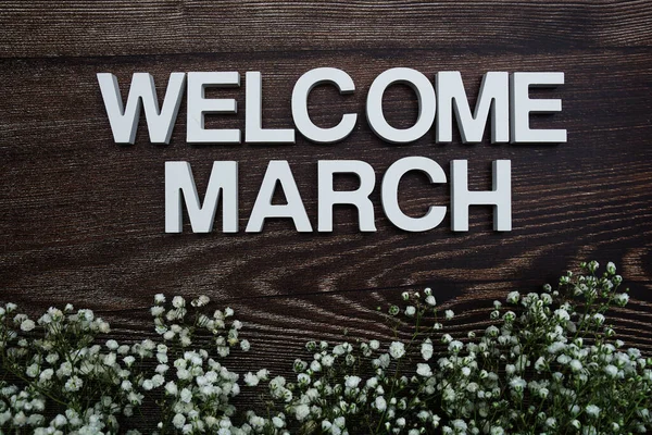 Willkommen März Alphabet Buchstaben Mit Blumen Auf Holzgrund — Stockfoto