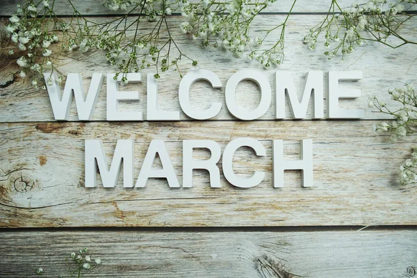Willkommen März Alphabet Buchstaben Mit Blumen Auf Holzgrund — Stockfoto