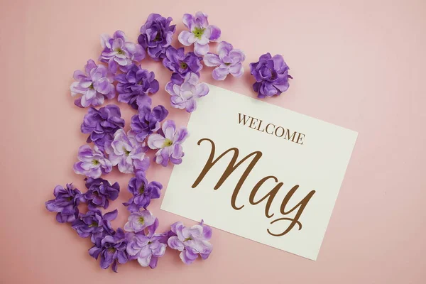 Welcome May Card Typography Text Flower Bouquet Pink Background — ストック写真