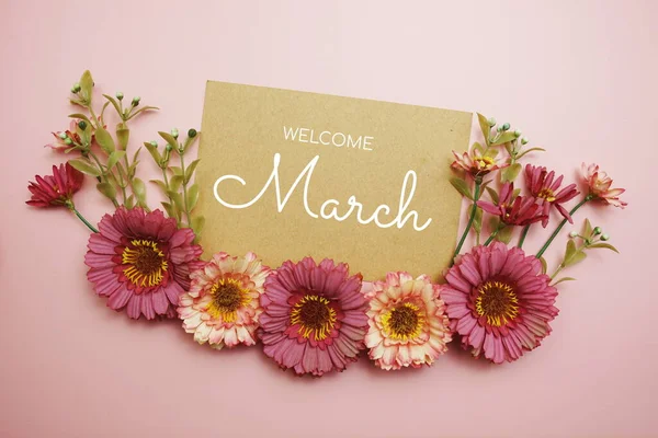 Welcome March Typography Text Flowers Pink Background — Stockfoto