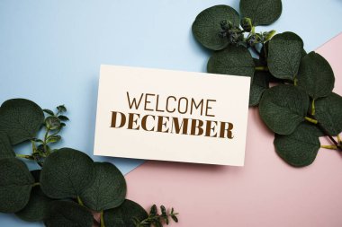 Mavi ve pembe arka planda yeşil izinli Aralık mesajına hoş geldiniz