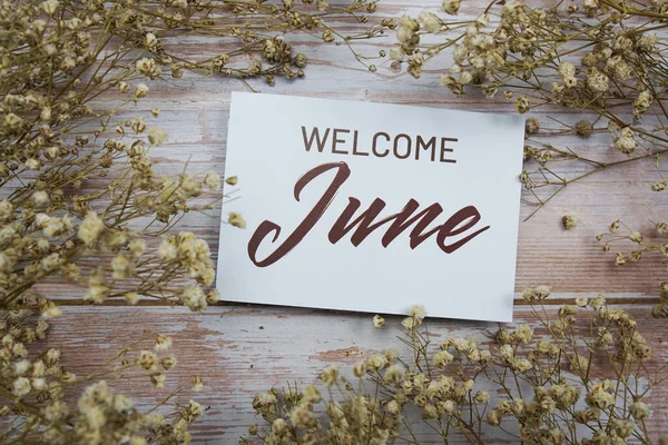 Welcome June Text Paper Card Flower Decoration Wooden Background — Fotografia de Stock