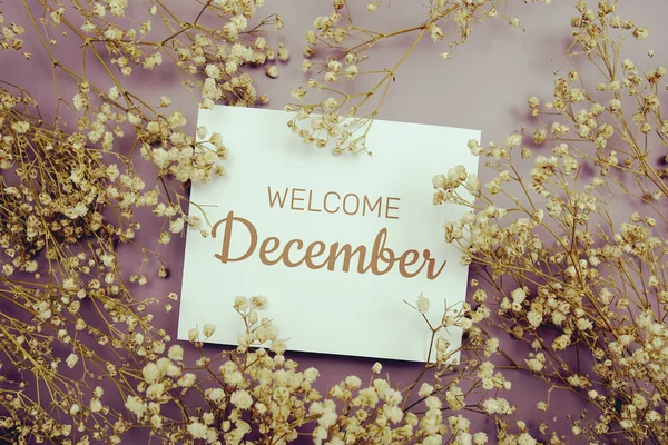 Willkommen Dezember Text Auf Papier Karte Mit Blumendekoration Auf Lila — Stockfoto