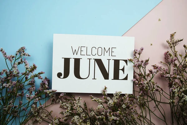 Welcome June Text Message Green Leave Blue Pink Background — Fotografia de Stock