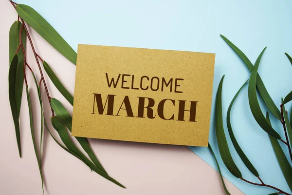 Willkommen März Sms Mit Grünem Blatt Auf Blauem Und Rosa — Stockfoto