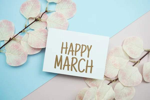 Happy March Text Message Artificial Leave Blue Pink Background — Stockfoto