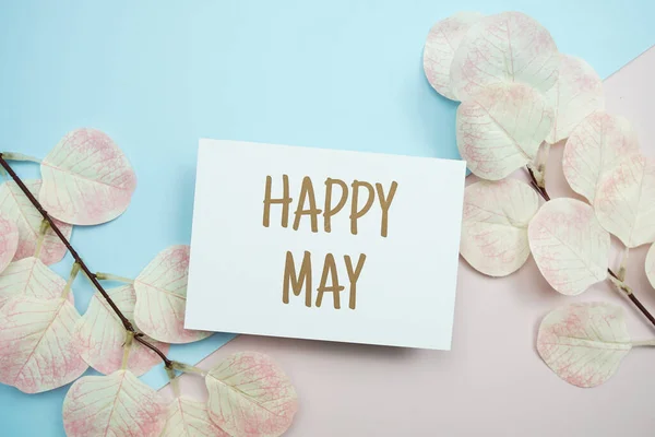 Happy May Text Message Artificial Leave Blue Pink Background — ストック写真