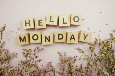 Merhaba Pazartesi alfabe harfi pembe arkaplan