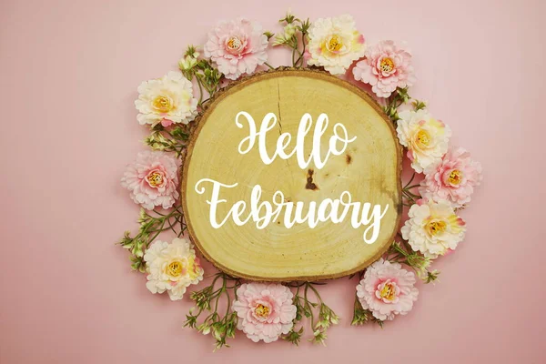 Hello February Typography Text Decorate Flower Pink Background — Photo