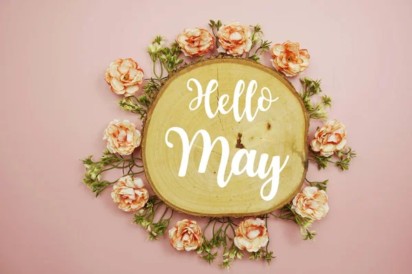 Hello May Typography Text Decorate Flower Pink Background — Zdjęcie stockowe