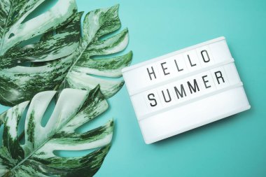 Hello Summer word in lightbox with Monstera Leaves on blue background