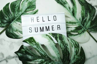 Hello Summer word in lightbox with Monstera Leaves on marble background