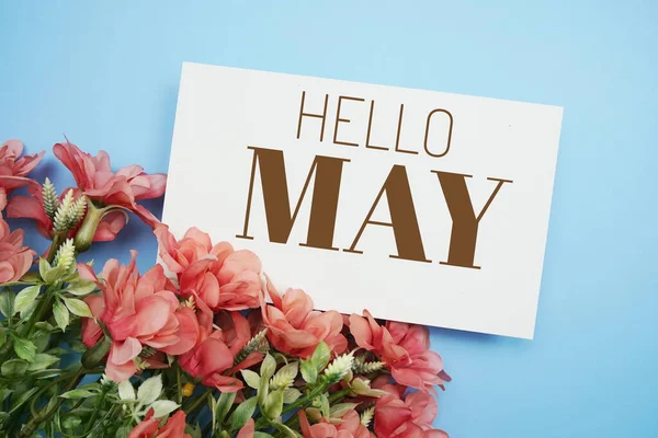 Hello May Text Message Flower Decoration Blue Background — ストック写真