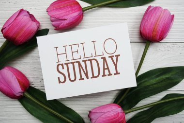 Hello Sunday card with tulip flower on wooden background