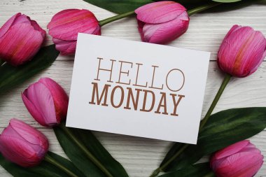 Hello Monday card with tulip flower on wooden background