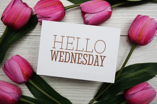 Hello Wednesday Card Tulip Flower Wooden Background — 스톡 사진