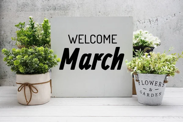 木製の背景に人工植物の装飾と歓迎3月のテキストメッセージ — ストック写真