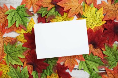 Boş kağıt kart, akçaağaç yaprakları üzerindeki üst görünümü düzenler