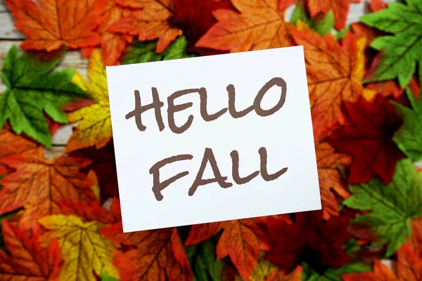Hello Podzimní Textová Zpráva Javorovými Listy Dřevěném Pozadí — Stock fotografie
