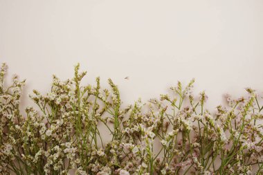 Mesaj için boş kart ve pembe arkaplanda çiçek süslemesi