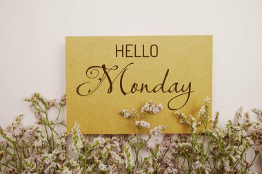 Merhaba Pazartesi. Kağıt kartta pembe arka planda çiçek çerçevesi süslemesi yazılı.