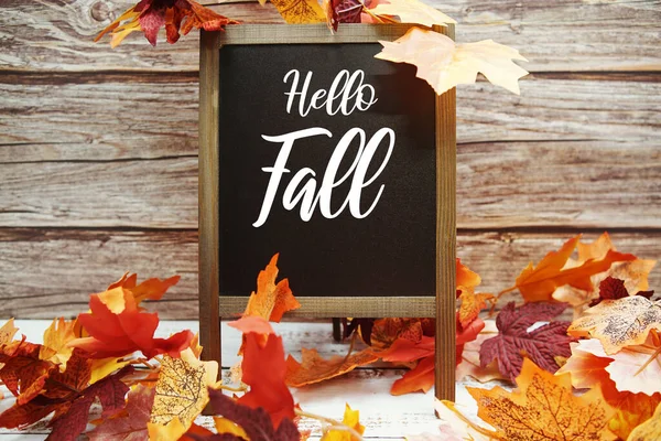 Chalkboard Easel Hello Fall Text Message Autumn Maple Leaves Decoration — Stock Photo, Image