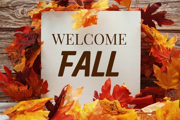 Vítejte Podzimní Textová Zpráva Podzimní Javorové Listy Dekorace Dřevěném Pozadí — Stock fotografie