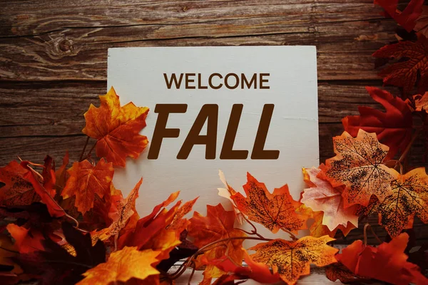 Welcome Fall Text Message Autumn Maple Leaves Pumpkins Wooden Background — Stock Photo, Image