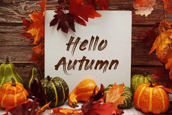 Hello Autumn text message with autumn maple leaves and pumpkins on wooden background