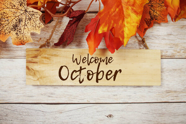 Приветствуем октябрьское текстовое сообщение, написанное на доске объявлений, висящей с осенними листьями карточек