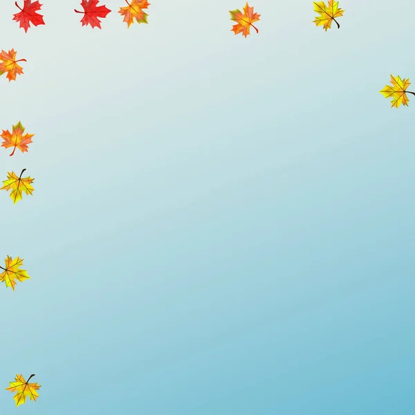 Цветные Листья Фона Синий Вектор Цветочный Шаблон Обоев Канадские Листья — стоковый вектор