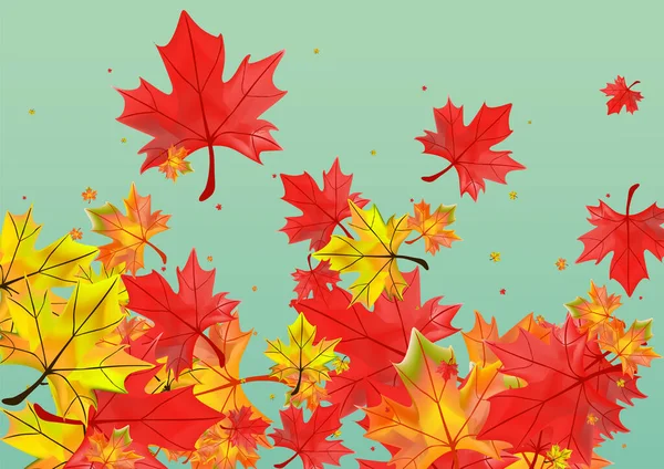 Цветочный Фон Зеленый Вектор Шаблон Листвы Осенние Листья Природы Дизайн — стоковый вектор