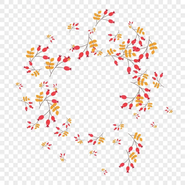 Kırmızı Yaprak Şeffaf Arkaplan Vektörü. Yaprakların ana hatları. Yeşil Bitki Ağacı. Okul takımı. Böğürtlen Modern.