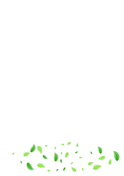 Verde Greenery Fundo Branco Vector Cartão Mistura Vegetação Quadro Luz —  Vetores de Stock