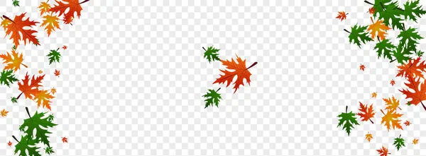 Renkli Yaprak Şeffaf Arkaplan Vektörü. Bitki Kanadası Tasarımı. Altın Koleksiyon. Yer şablonu. Yeşil Akçaağaç Dekorasyonu.