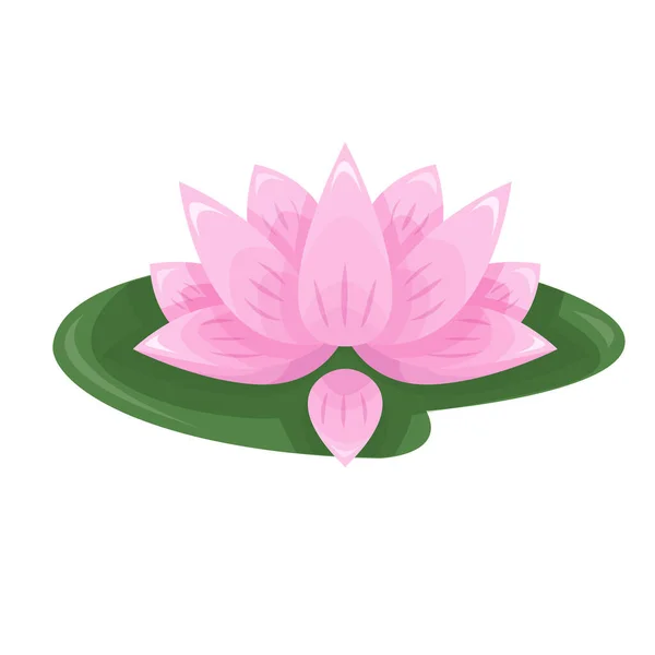 Κινούμενο Ροζ Λωτού Ένα Πράσινο Φύλλο Μεμονωμένο Λουλούδι Λευκό Φόντο — Διανυσματικό Αρχείο