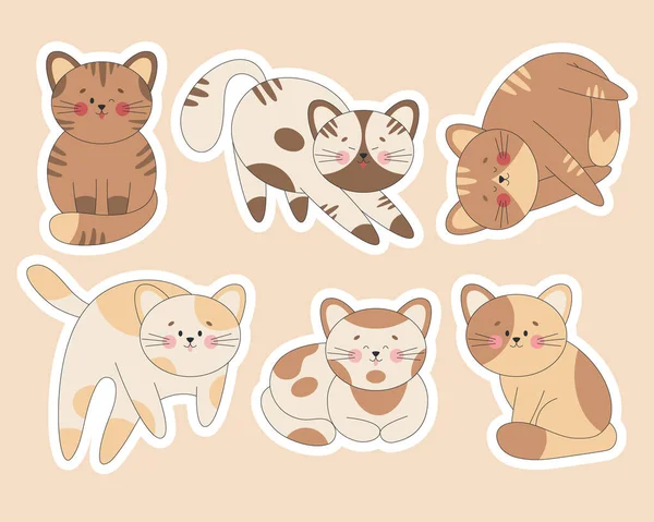 Aranyos Macskás Matricák Kawaii Cica Különböző Pózokkal Érzelmekkel Elszigetelve Lapos — Stock Vector