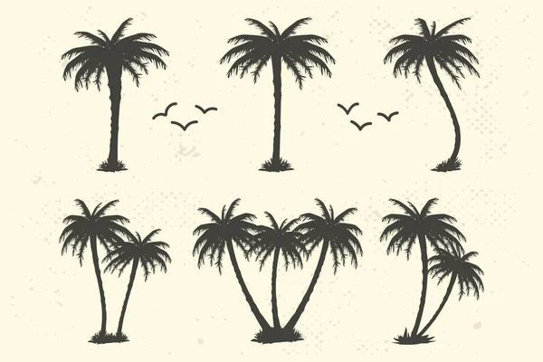 Tropik Palmiye Ağacı Vektör Siluetleri — Stok Vektör
